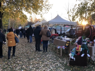 Dunai Kincses Kert a Szalki-szigeten - fotó: 