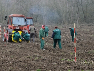Erdősítés a Schalbert-szigeten - fotó: 