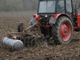 Erdősítés a Schalbert-szigeten - fotó: 