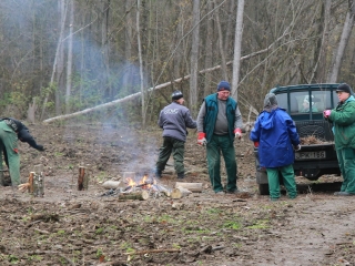 Erdősítés a Schalbert-szigeten - fotó: 