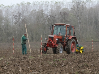 Erdősítés a Schalbert-szigeten - fotó: 