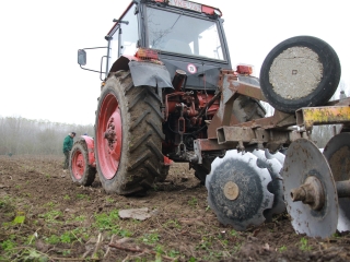 Erdősítés a Schalbert-szigeten - fotó: 