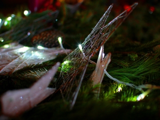 Adventi fények a Városháza téren - fotó: 