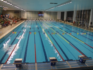 Regionális úszó bajnokság - fotó: 