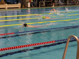 Regionális úszó bajnokság - fotó: 