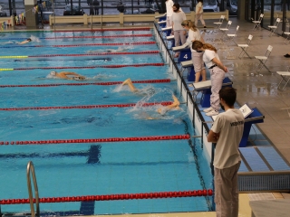 Regionális úszó bajnokság - fotó: 