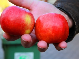 Mikulás előtti meglepetés ajándékok - fotó: 