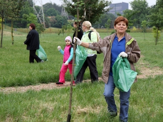 TeSzedd akció 2015 - fotó: Sándor Judit
