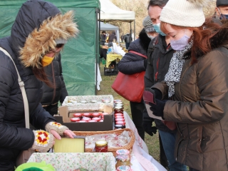 Dunai Kincses Kert: évnyitó a Szalki-szigeten  - fotó: 