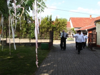 Májusfatánc - fotó: Ónodi Zoltán