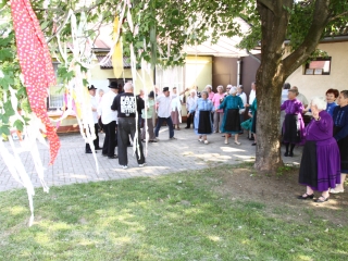 Májusfatánc - fotó: Ónodi Zoltán