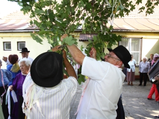 Májusfatánc - fotó: Ónodi Zoltán