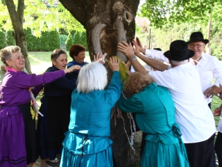 Májusfatánc - fotó: Ónodi Zoltán