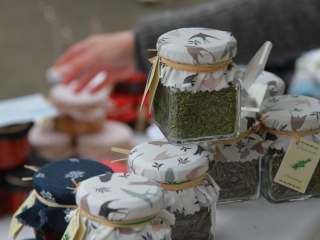 Tavaszváró Kincses Kert  - fotó: 