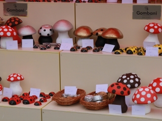 Tavaszváró Kincses Kert  - fotó: 