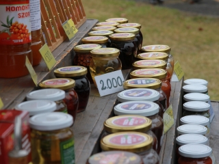 Tavaszváró Kincses Kert  - fotó: 