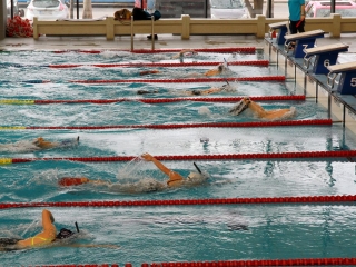 Pentele Solar Kupa - fotó: 