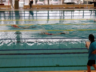 Pentele Solar Kupa - fotó: 