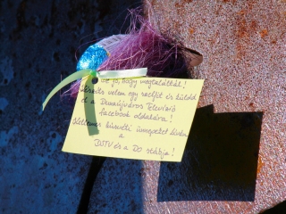 Húsvéti tojáskereső akció a DSTV-vel és a DO-val - fotó: 