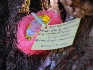 Húsvéti tojáskereső akció a DSTV-vel és a DO-val - fotó: 