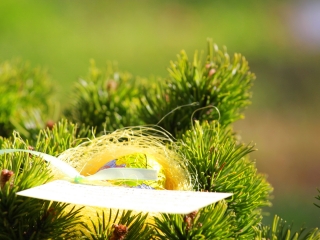 Húsvéti tojáskereső akció a DSTV-vel és a DO-val - fotó: 