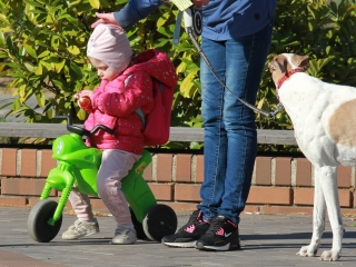 Húsvéti tojáskereső akció a DSTV-vel és a DO-val - fotó: 