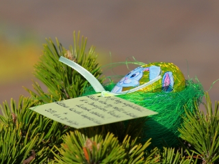 Húsvéti tojáskereső akció a DSTV-vel és a DO-val - fotó: 