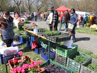 Kincses kert a tavasz köszöntése jegyében - fotó: 