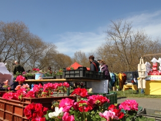 Kincses kert a tavasz köszöntése jegyében - fotó: 