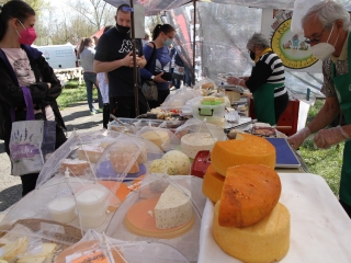 Kincses kert a tavasz köszöntése jegyében - fotó: 