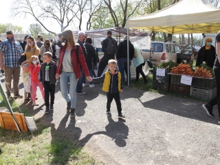 Kincses kert a tavasz köszöntése jegyében - fotó: 