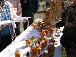 Kincses kert a tavasz köszöntése jegyében - fotó: 