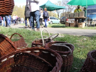 Kincses kert a tavasz köszöntése jegyében - fotó: 