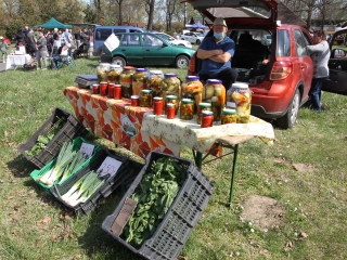 Kincses kert a tavasz köszöntése jegyében - fotó: 