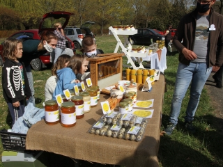 Kincses kert a tavasz köszöntése jegyében - fotó: 