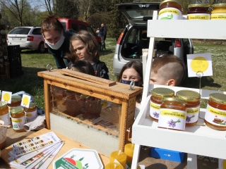 Kincses kert a tavasz köszöntése jegyében - fotó: 