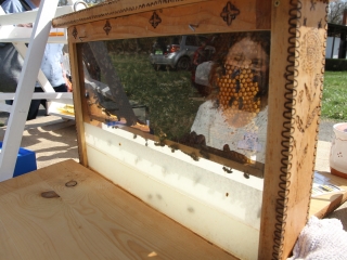 Kincses kert a tavasz köszöntése jegyében - fotó: 