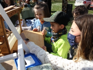 Kincses kert a tavasz köszöntése jegyében - fotó: 