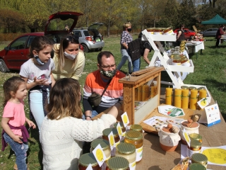 Kincses kert a tavasz köszöntése jegyében - fotó: 