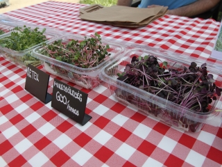 Kincses kert a tavasz köszöntése jegyében - fotó: 