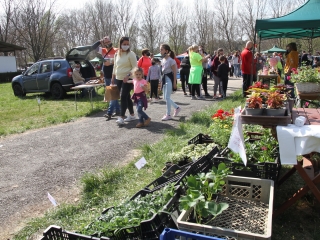 Kincses kert a tavasz köszöntése jegyében - fotó: 