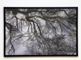 Láthatatlan városok - fotó: Sándor Judit