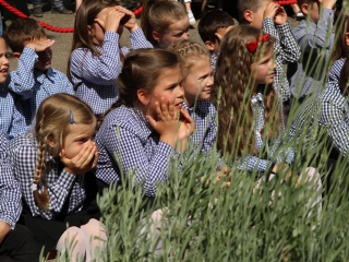 Elsősavatás a Móricz iskolában - fotó: 