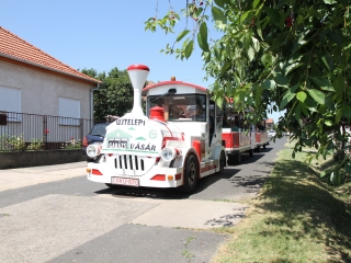 Újtelepi Garázsvásár a kánikulában - fotó: 