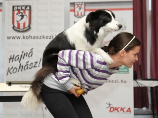 Évet zárt a DKKA - fotó: Sándor Judit