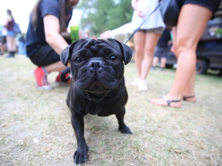 Metal Factory: fergeteges finálé - fotó: 