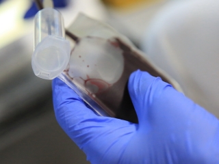 Dunaújváros 70: retró véradás - fotó: 