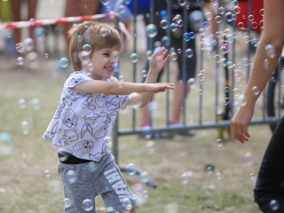 Ünnepi programsorozat a Szalki-szigeten - fotó: 