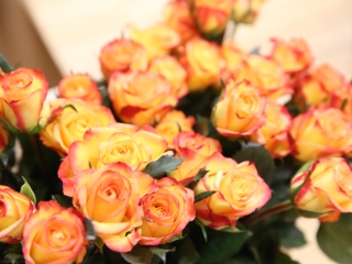 Pedagógusok köszöntése - fotó: Ónodi Zoltán