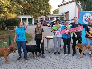 Siker volt a "Bartók éjszakája"  - fotó: 